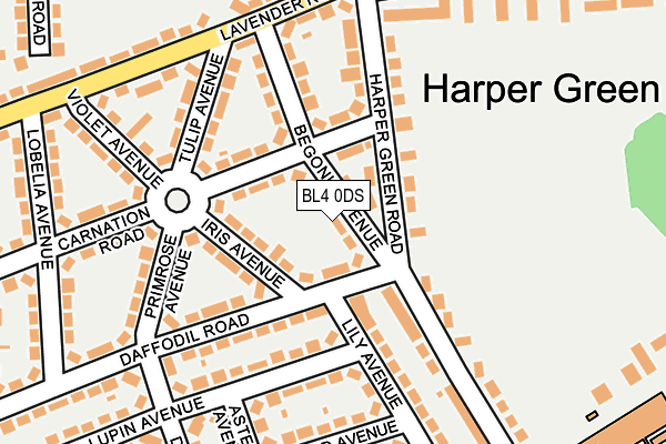 BL4 0DS map - OS OpenMap – Local (Ordnance Survey)