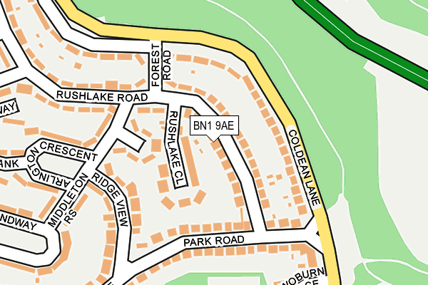 BN1 9AE map - OS OpenMap – Local (Ordnance Survey)