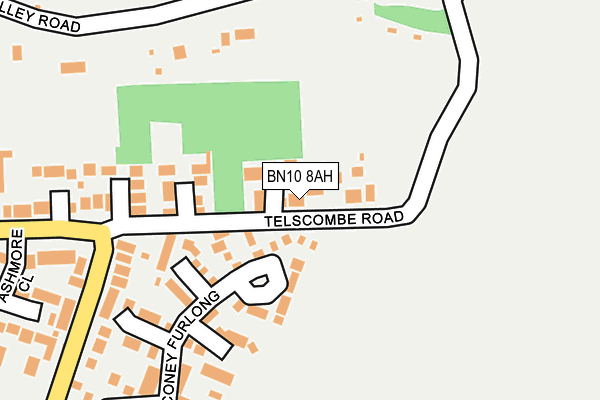 BN10 8AH map - OS OpenMap – Local (Ordnance Survey)