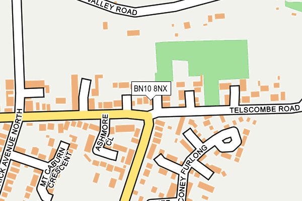 BN10 8NX map - OS OpenMap – Local (Ordnance Survey)