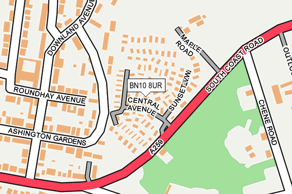 BN10 8UR map - OS OpenMap – Local (Ordnance Survey)