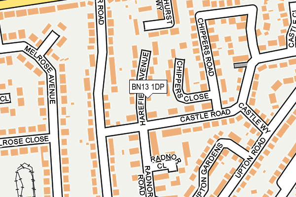 BN13 1DP map - OS OpenMap – Local (Ordnance Survey)