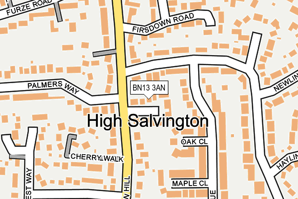 BN13 3AN map - OS OpenMap – Local (Ordnance Survey)