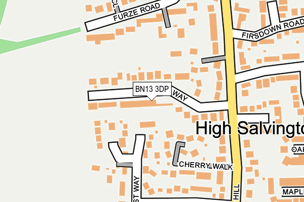 BN13 3DP map - OS OpenMap – Local (Ordnance Survey)