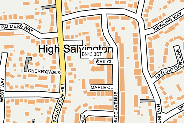 BN13 3DT map - OS OpenMap – Local (Ordnance Survey)