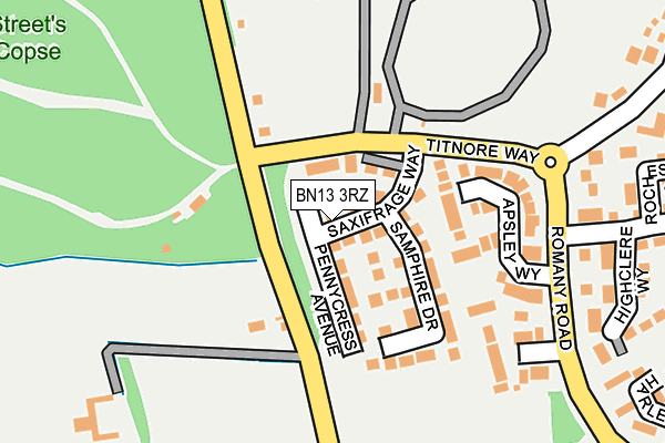 BN13 3RZ map - OS OpenMap – Local (Ordnance Survey)