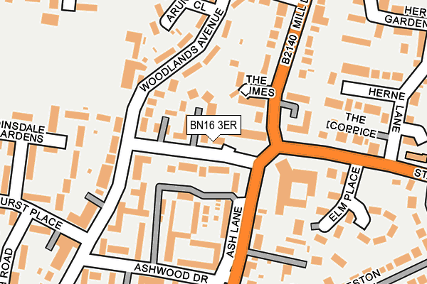 BN16 3ER map - OS OpenMap – Local (Ordnance Survey)