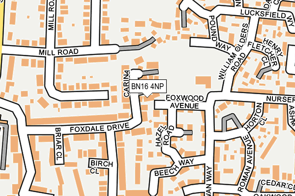 BN16 4NP map - OS OpenMap – Local (Ordnance Survey)