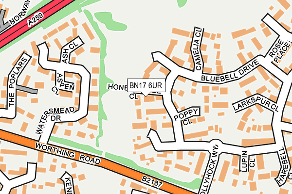 BN17 6UR map - OS OpenMap – Local (Ordnance Survey)