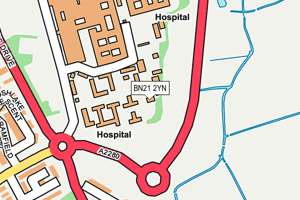 BN21 2YN map - OS OpenMap – Local (Ordnance Survey)
