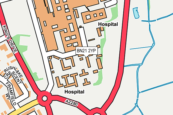 BN21 2YP map - OS OpenMap – Local (Ordnance Survey)