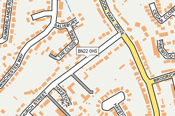 BN22 0HS map - OS OpenMap – Local (Ordnance Survey)