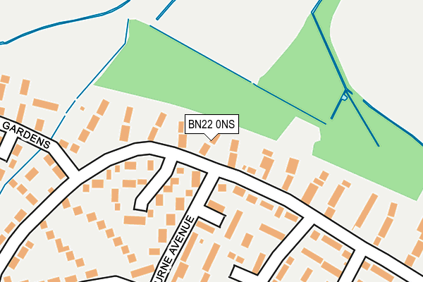 BN22 0NS map - OS OpenMap – Local (Ordnance Survey)