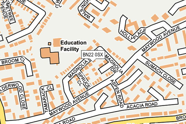 BN22 0SX map - OS OpenMap – Local (Ordnance Survey)