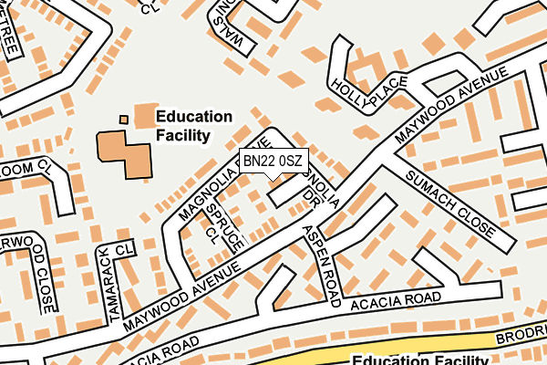 BN22 0SZ map - OS OpenMap – Local (Ordnance Survey)