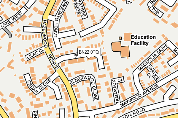 BN22 0TQ map - OS OpenMap – Local (Ordnance Survey)