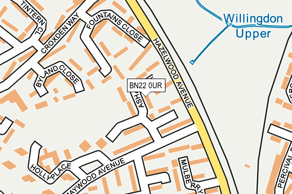 BN22 0UR map - OS OpenMap – Local (Ordnance Survey)