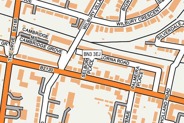 BN3 3EJ map - OS OpenMap – Local (Ordnance Survey)