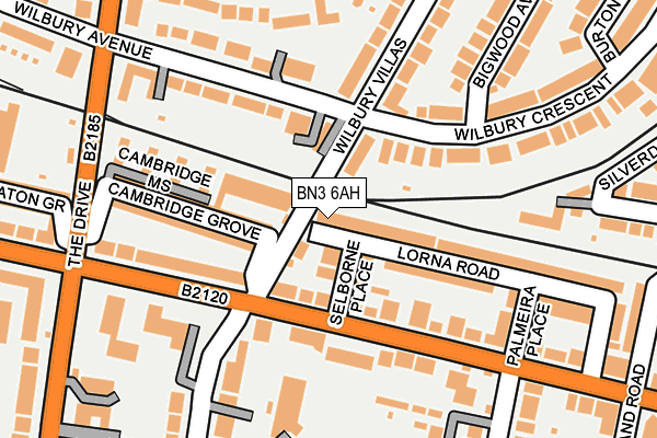BN3 6AH map - OS OpenMap – Local (Ordnance Survey)