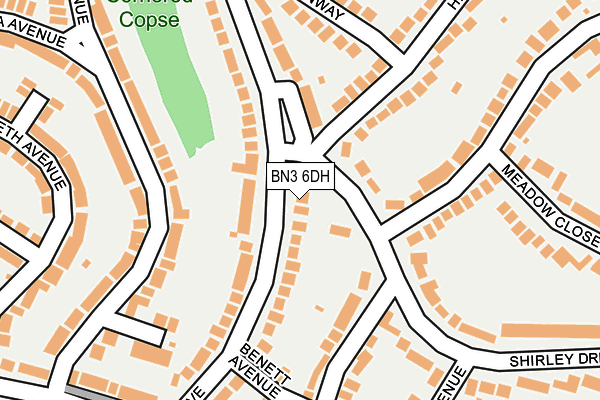 BN3 6DH map - OS OpenMap – Local (Ordnance Survey)