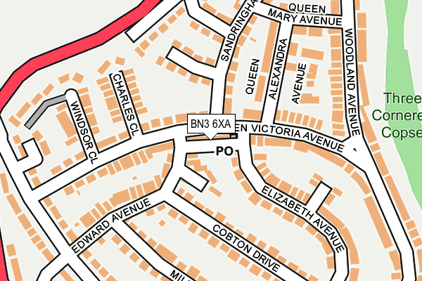 BN3 6XA map - OS OpenMap – Local (Ordnance Survey)