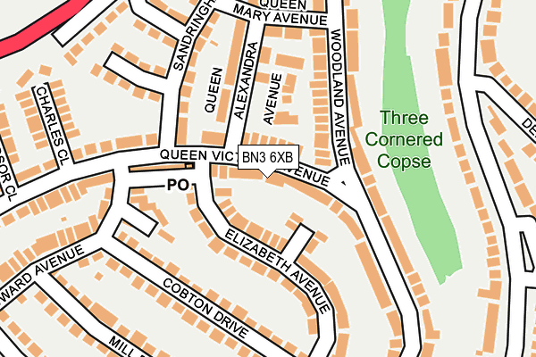 BN3 6XB map - OS OpenMap – Local (Ordnance Survey)