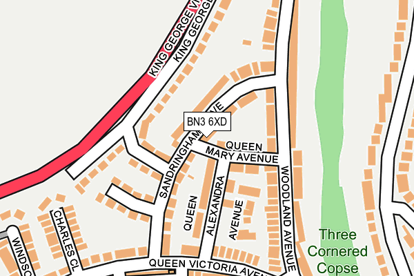 BN3 6XD map - OS OpenMap – Local (Ordnance Survey)
