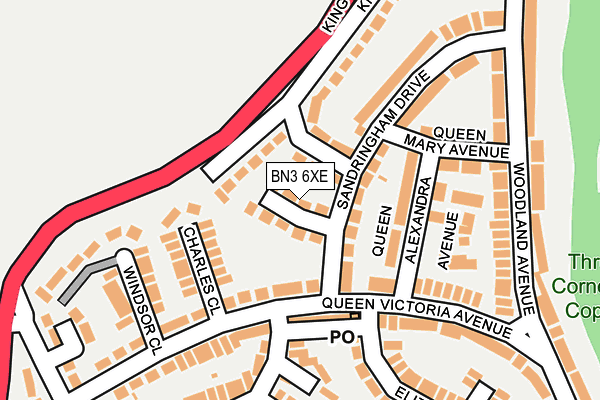 BN3 6XE map - OS OpenMap – Local (Ordnance Survey)