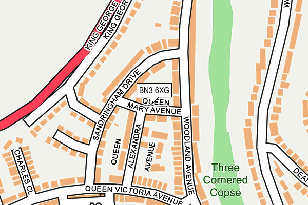 BN3 6XG map - OS OpenMap – Local (Ordnance Survey)