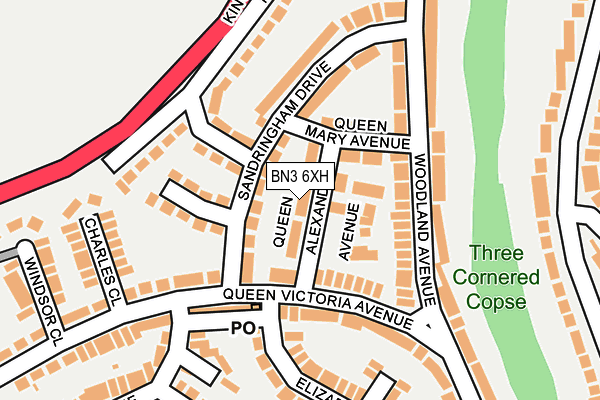 BN3 6XH map - OS OpenMap – Local (Ordnance Survey)