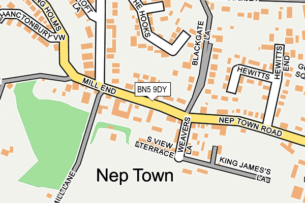 BN5 9DY map - OS OpenMap – Local (Ordnance Survey)