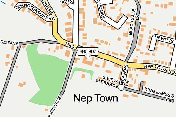 BN5 9DZ map - OS OpenMap – Local (Ordnance Survey)