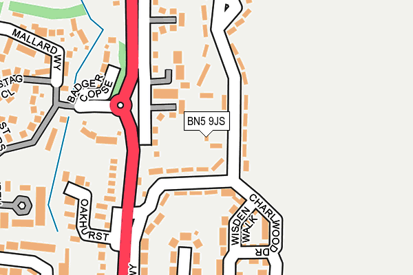 BN5 9JS map - OS OpenMap – Local (Ordnance Survey)