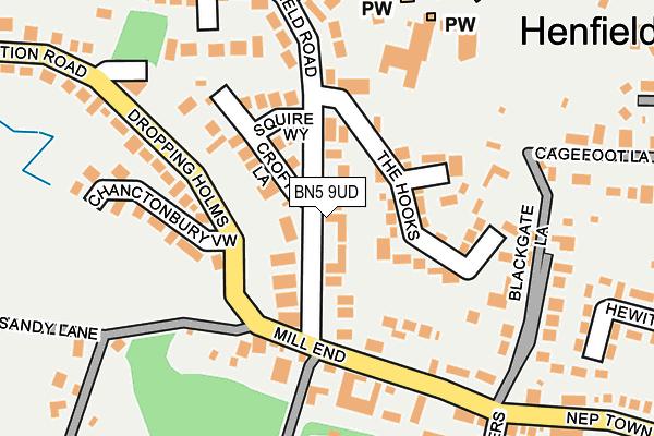 BN5 9UD map - OS OpenMap – Local (Ordnance Survey)
