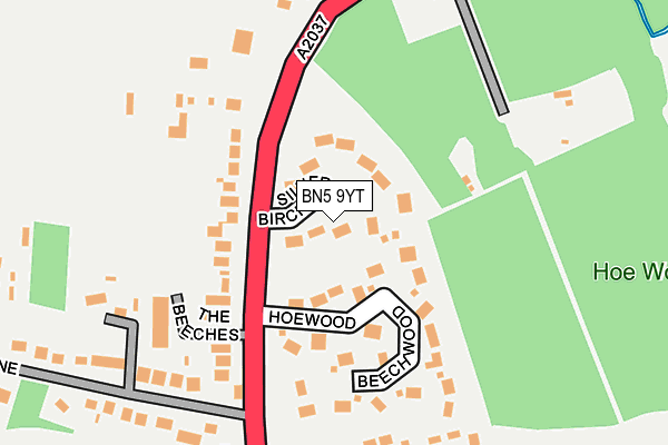 BN5 9YT map - OS OpenMap – Local (Ordnance Survey)