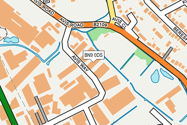 BN9 0DS map - OS OpenMap – Local (Ordnance Survey)