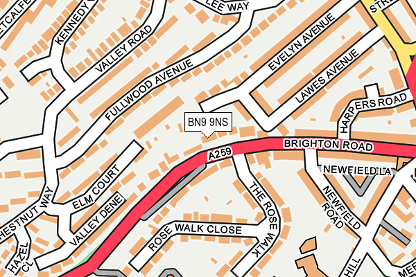 BN9 9NS map - OS OpenMap – Local (Ordnance Survey)