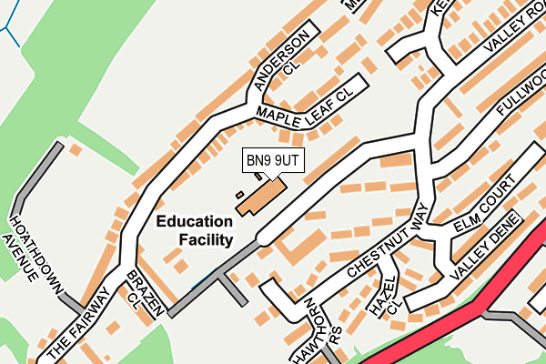 BN9 9UT map - OS OpenMap – Local (Ordnance Survey)