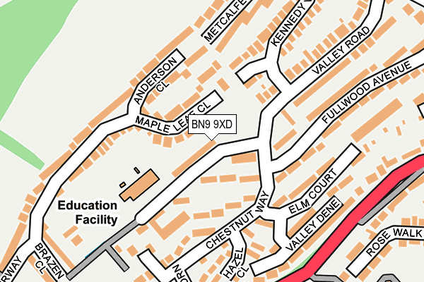 BN9 9XD map - OS OpenMap – Local (Ordnance Survey)