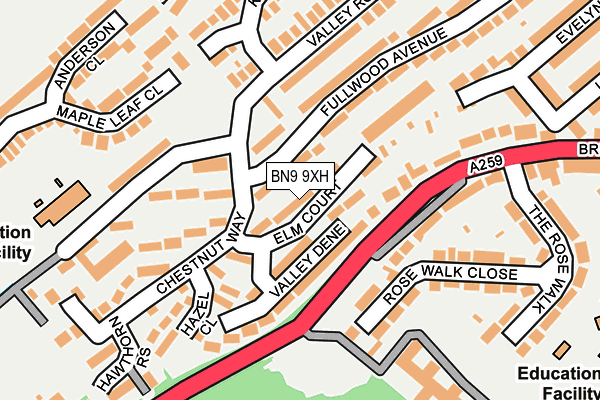 BN9 9XH map - OS OpenMap – Local (Ordnance Survey)
