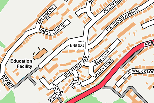 BN9 9XJ map - OS OpenMap – Local (Ordnance Survey)