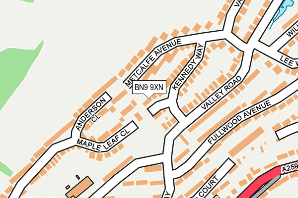 BN9 9XN map - OS OpenMap – Local (Ordnance Survey)