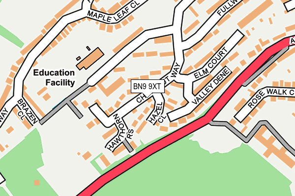 BN9 9XT map - OS OpenMap – Local (Ordnance Survey)