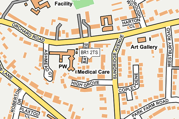 BR1 2TS map - OS OpenMap – Local (Ordnance Survey)