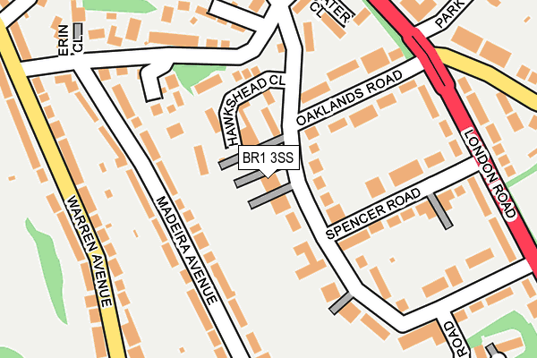 BR1 3SS map - OS OpenMap – Local (Ordnance Survey)