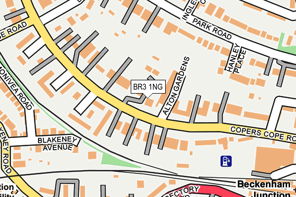 BR3 1NG map - OS OpenMap – Local (Ordnance Survey)