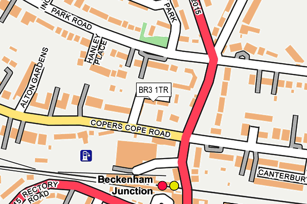 BR3 1TR map - OS OpenMap – Local (Ordnance Survey)