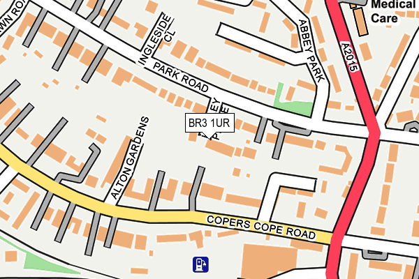 BR3 1UR map - OS OpenMap – Local (Ordnance Survey)