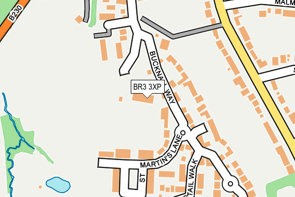 BR3 3XP map - OS OpenMap – Local (Ordnance Survey)
