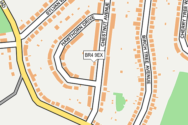 BR4 9EX map - OS OpenMap – Local (Ordnance Survey)
